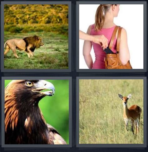 4 pics 1 word level 727|4 Pics 1 Word Level 379 Answer » qunb.